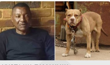 Umukinyi w'umupira w'amagaru yishwe n'imbwa ze eshatu