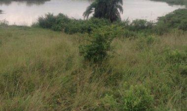 Abasore bane bishe mushiki wabo bamuziza umunani