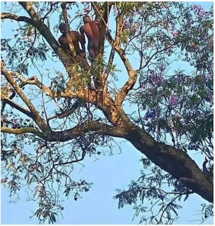 Buriye igiti bambaye ubusa kuri Station ya Polisi batangira kubwiriza ijambo ry'Imana