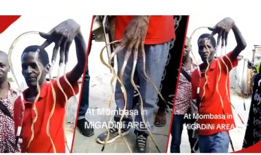 Yatunguye abantu abereka inzara zimaze imyaka 22