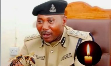 Umupolisi yariwe n'inzuki kugeza ashizemo umwuka