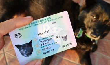 HONGKONG: Amwe mu matungo yo mu rugo  atunze indangamuntu